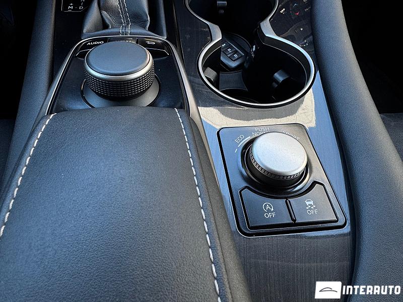 Lexus RX 300 13 lexus rx 300 2019