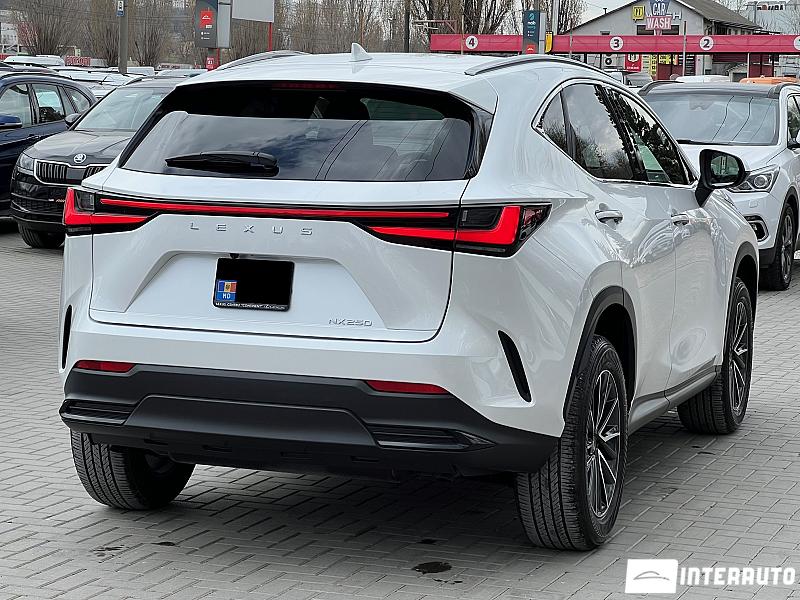 Lexus NX 250 2 lexus nx 250 2023