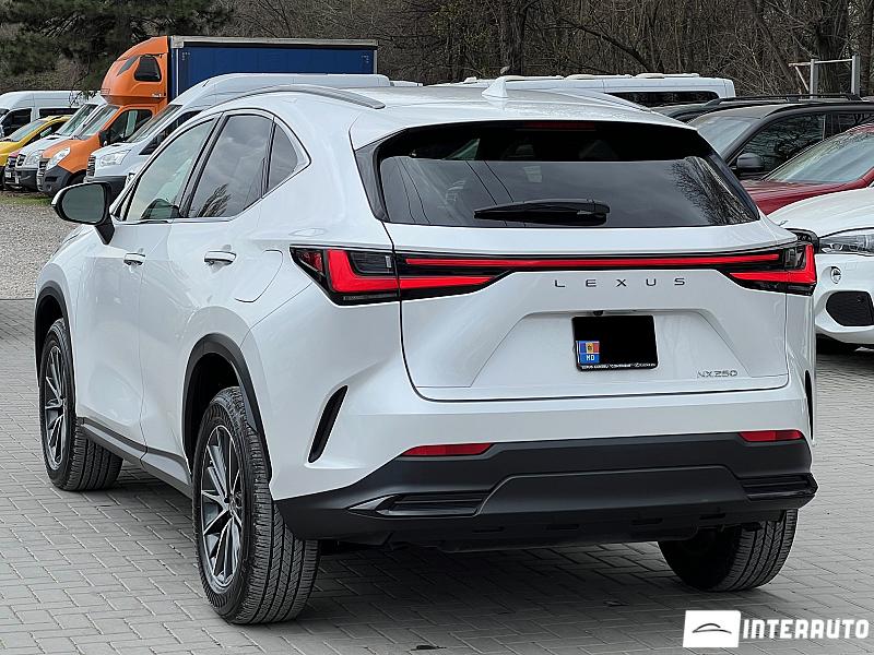 Lexus NX 250 4 lexus nx 250 2023