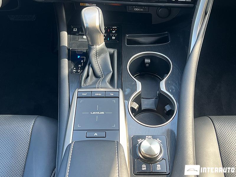 Lexus RX 300 15 lexus rx 300 2022